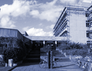 Our Building